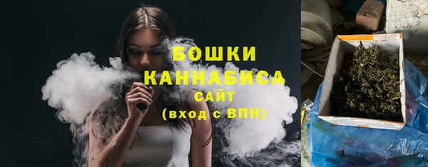 ГАЛЛЮЦИНОГЕННЫЕ ГРИБЫ Новозыбков