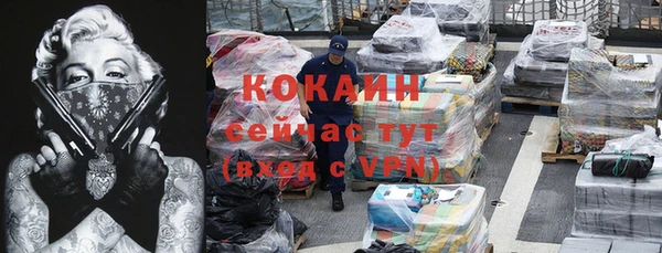 ГАЛЛЮЦИНОГЕННЫЕ ГРИБЫ Новозыбков