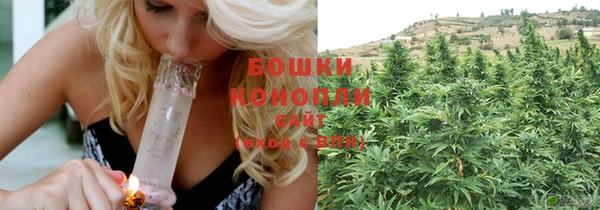 ГАЛЛЮЦИНОГЕННЫЕ ГРИБЫ Новозыбков
