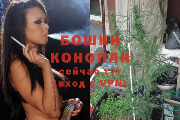 ГАЛЛЮЦИНОГЕННЫЕ ГРИБЫ Новозыбков