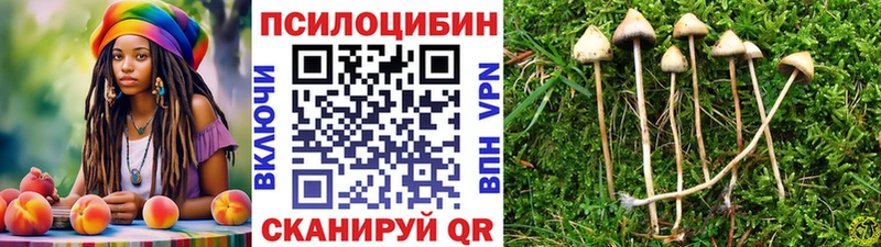 Псилоцибиновые грибы Psilocybine cubensis  купить  цена  Лихославль 